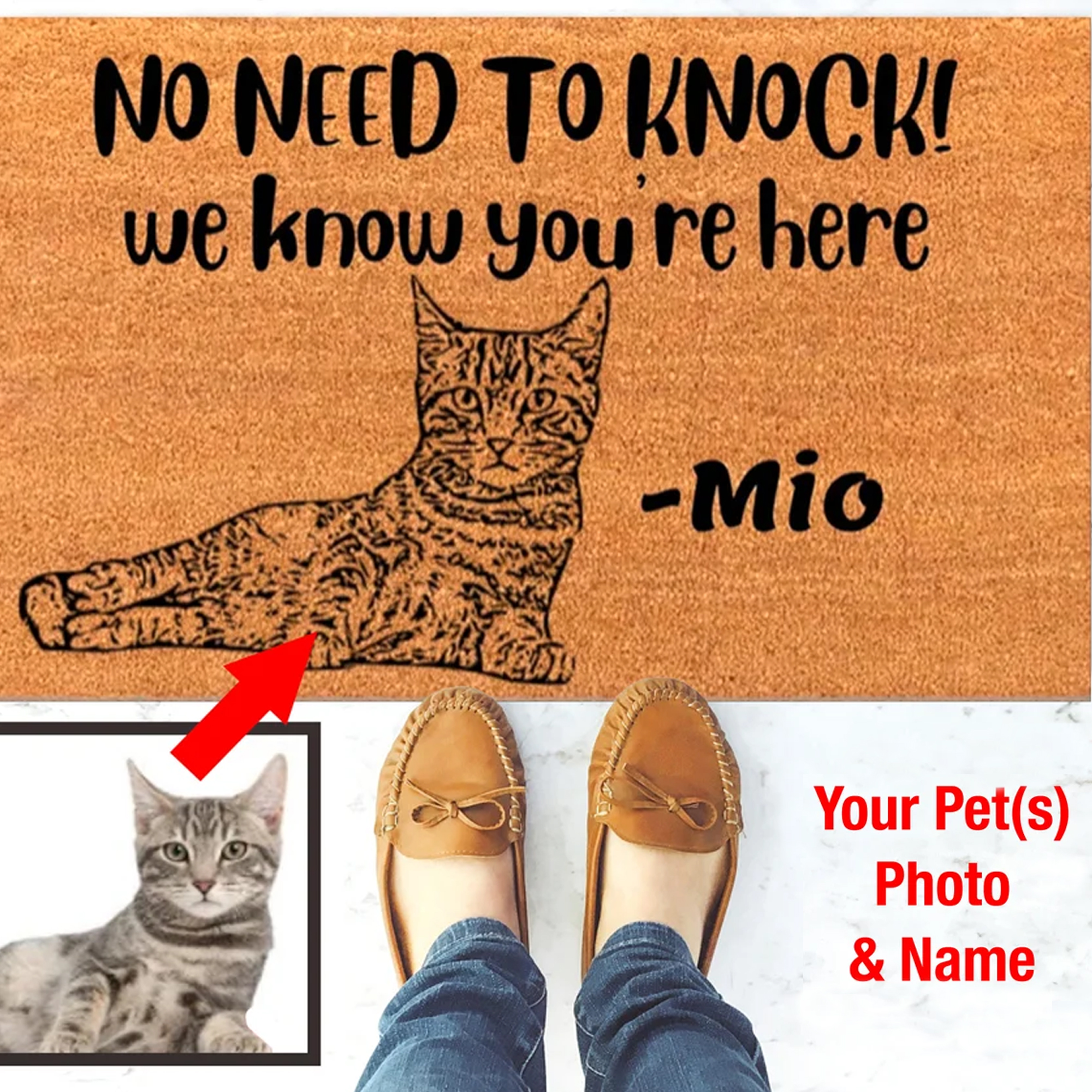 Personalized Custom Pet Photo Name Door Mat No Need To Knock We Know Youre Here Welcome Doormat Monogram Rug With Cat Photo Dog Photo